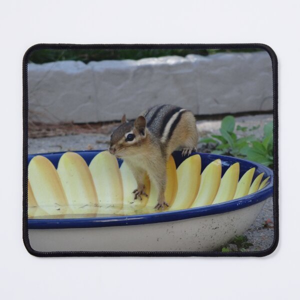Item preview, Thinking chipmunk designed and sold by cuisinecat2.