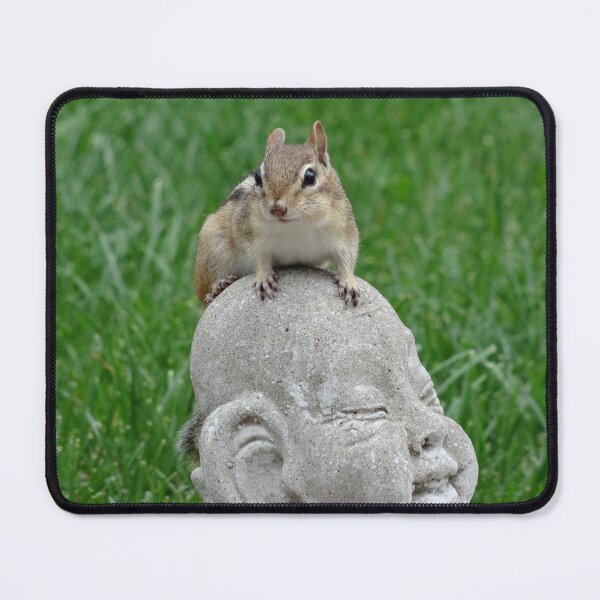 Item preview, Chipmunk hat for a stone Buddha designed and sold by cuisinecat2.