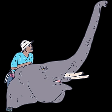 Artwork thumbnail, Mahout - Elephant Rider - Direct the Rider by DeWinnes