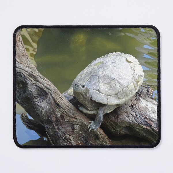 Item preview, Tree Trunk Turtle in Thailand designed and sold by cuisinecat2.