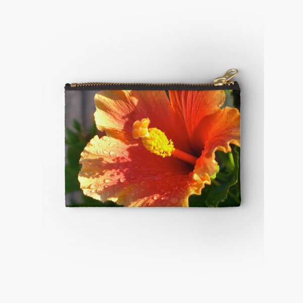 Artikelvorschau,  Kalifornien
Casio Exilim As ist von der Kamera

! http: //images-2.redbubble.net/img/art/backingcolor: weiß / Produkt: Grußkarte / Ansicht: Vorschau / 2115383-2-sunlit-hibiscus.jpg!

! http: //images-2.redbubble.net/img/art/border: blackwithdetail / entworfen und verkauft von Cheryl  Lunde.