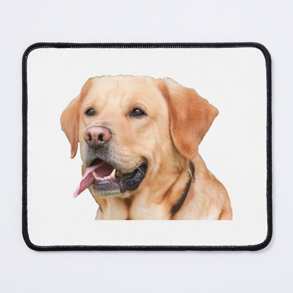Item preview, Labrador Sticker designed and sold by apuppyfeed.