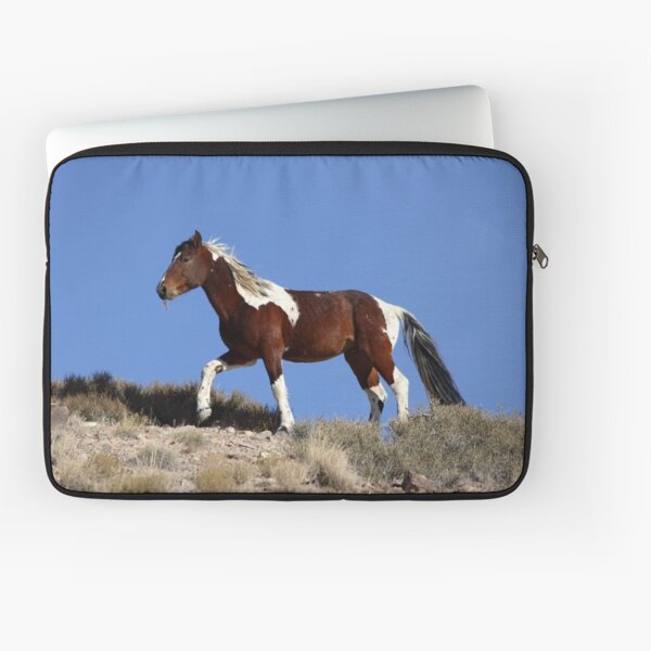 Painted Desert Laptop Sleeve