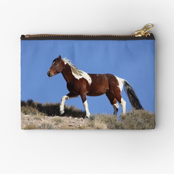 Painted Desert Zipper Pouch