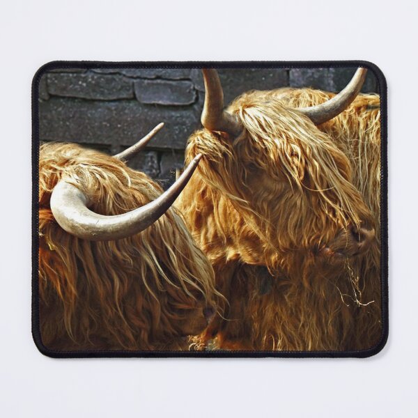 Item preview, Highland cattle designed and sold by Marju Rose.