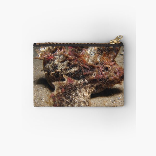 Item preview, Velvetfish. designed and sold by James Peake Nature Photography..