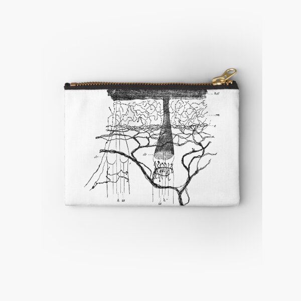 Artikelvorschau, Cajal, Nervenendigungen der Ratte, 1899, von Cajal.Santiago Ramón y Cajal entworfen und verkauft von ScienceSource.