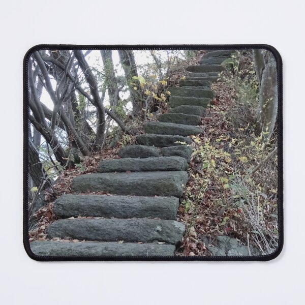 Item preview, Stairway to Nowhere in a Japanese garden designed and sold by cuisinecat2.