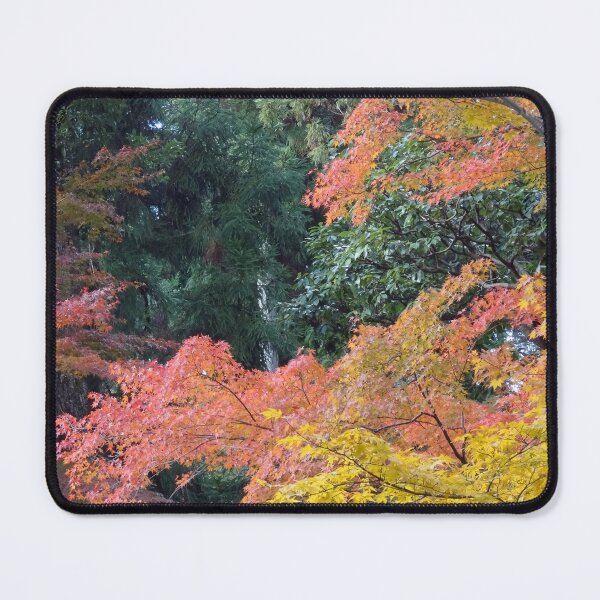 Item preview, Autumn Maples in a Japanese garden designed and sold by cuisinecat2.