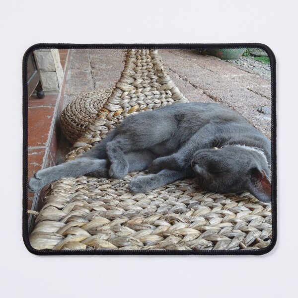 Item preview, Nap Time for a burmese cat designed and sold by cuisinecat2.