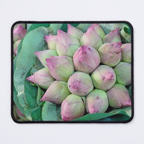 Item preview, Lotus Bud Thailand temple offering designed and sold by cuisinecat2.