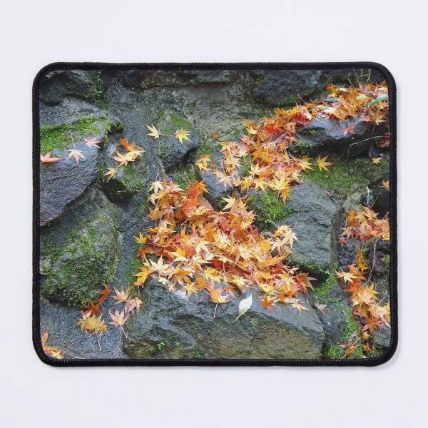 Item preview, Fallen leaves, fallen leaves designed and sold by cuisinecat2.