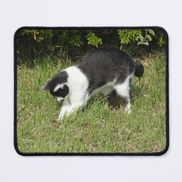 Item preview, short haired cat catches a bug designed and sold by cuisinecat2.
