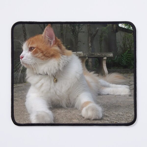 Item preview, Fluffy white and orange cat designed and sold by cuisinecat2.