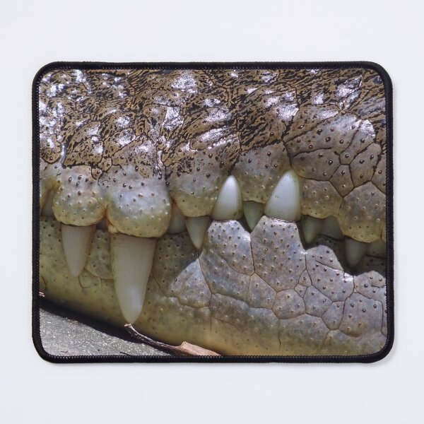 Item preview, The teeth of a smiling crocodile in Thailand designed and sold by cuisinecat2.