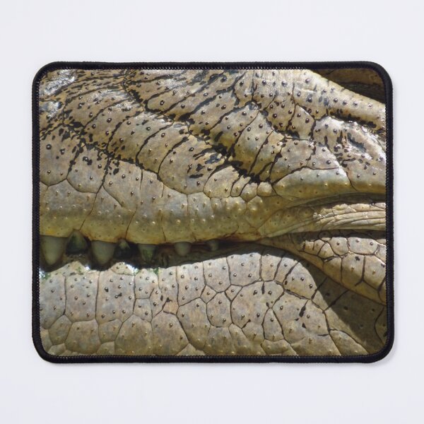 Item preview, A smiling crocodile in a sanctuary in Thailand designed and sold by cuisinecat2.