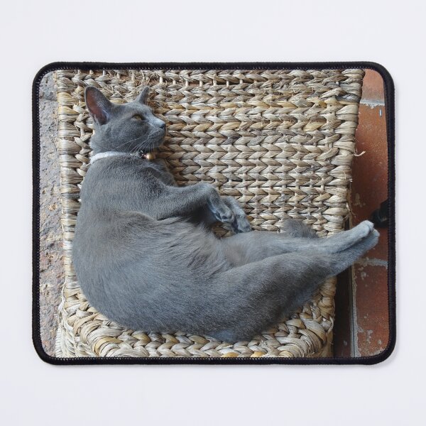 Item preview, Chilling out burmese cat  designed and sold by cuisinecat2.
