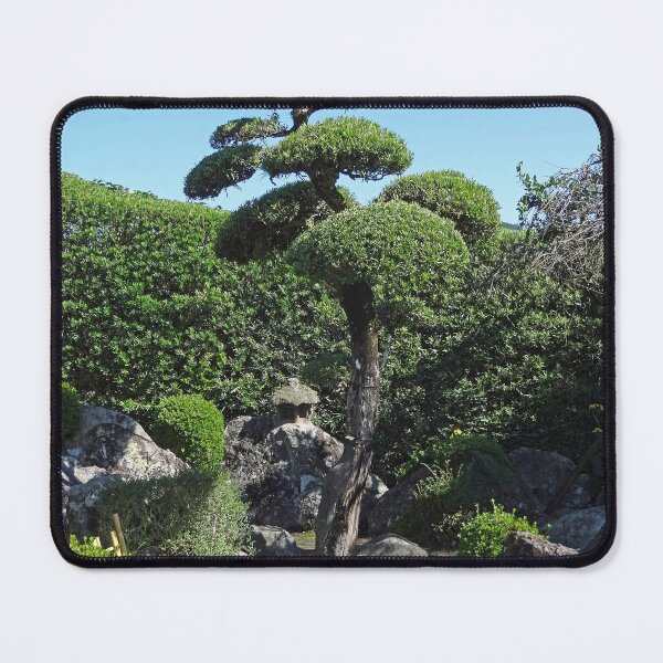Item preview, Tree in a samurai garden in Japan designed and sold by cuisinecat2.