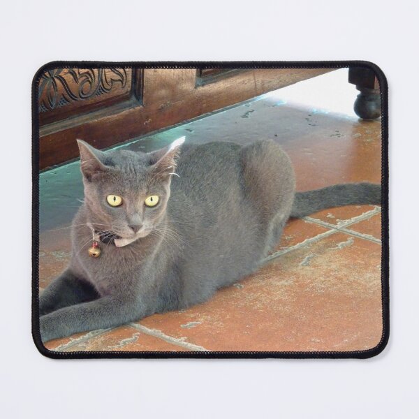 Item preview, I see you said the Burmese cat designed and sold by cuisinecat2.