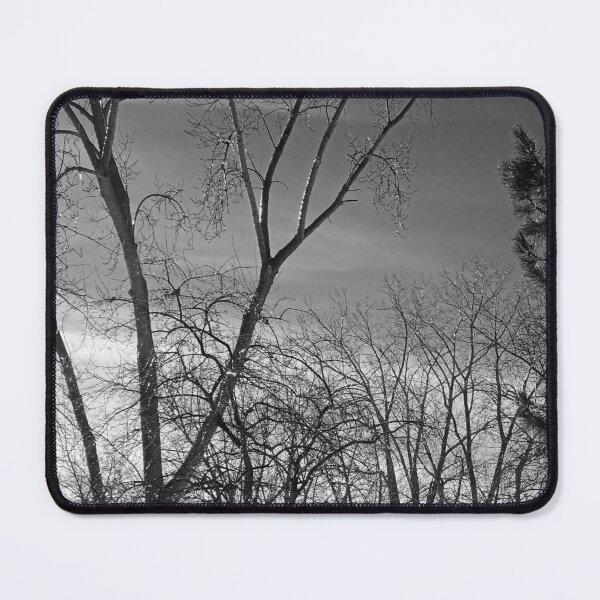 Item preview, Winter trees against a dark sky designed and sold by cuisinecat2.