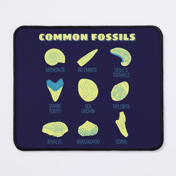 Item preview, Common Fossil Collection Gift For Fossil Hunters And Paleontologists designed and sold by JokeGysen.