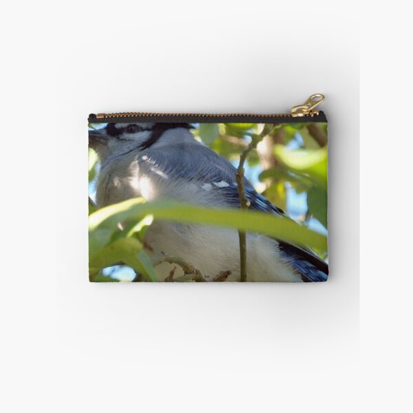 Item preview, Downy blue jay designed and sold by B. Randi Bailey.