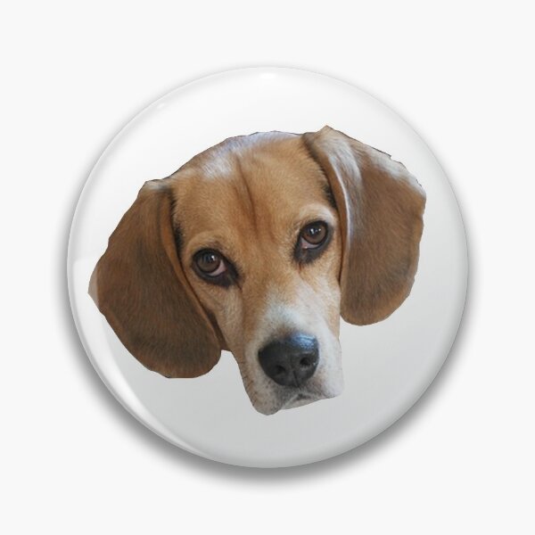 Item preview, Beagle Sticker designed and sold by apuppyfeed.