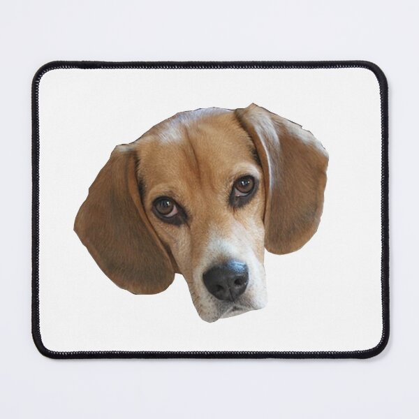Item preview, Beagle Sticker designed and sold by apuppyfeed.