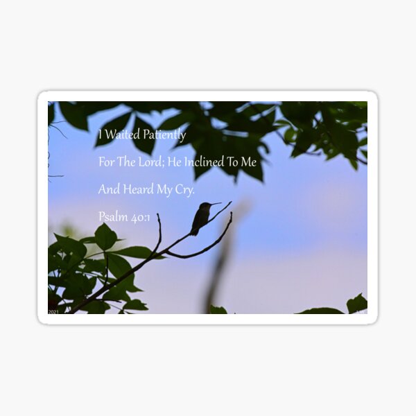 Item preview, Humming Bird On A Branch Psalm 401  designed and sold by LisaWootenPhoto.