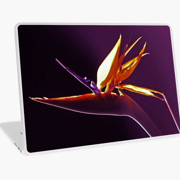The Bird Laptop Skin