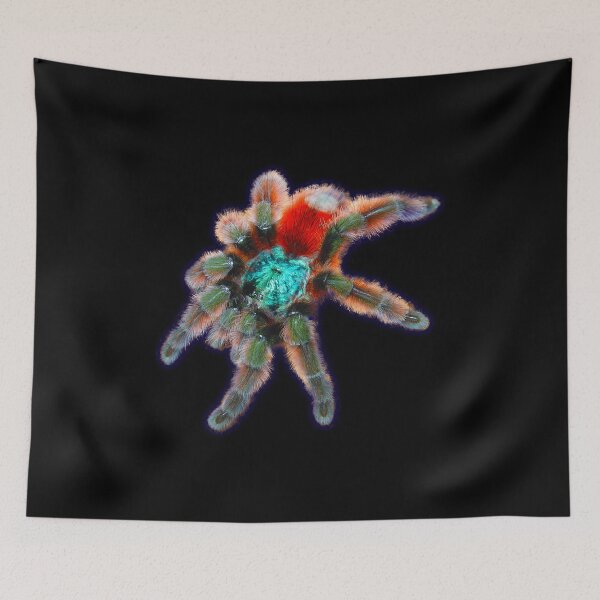 Item preview, Tarantula Colorful Spider Antilles Pinktoe designed and sold by abowlofsoda.