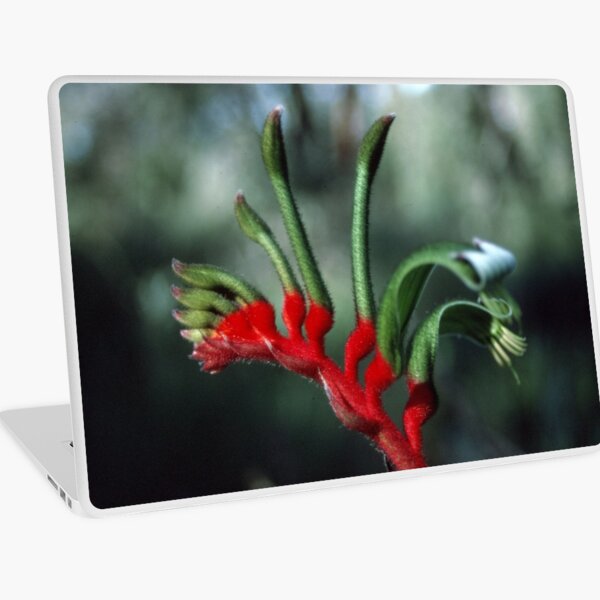 Wildflower Laptop Skin