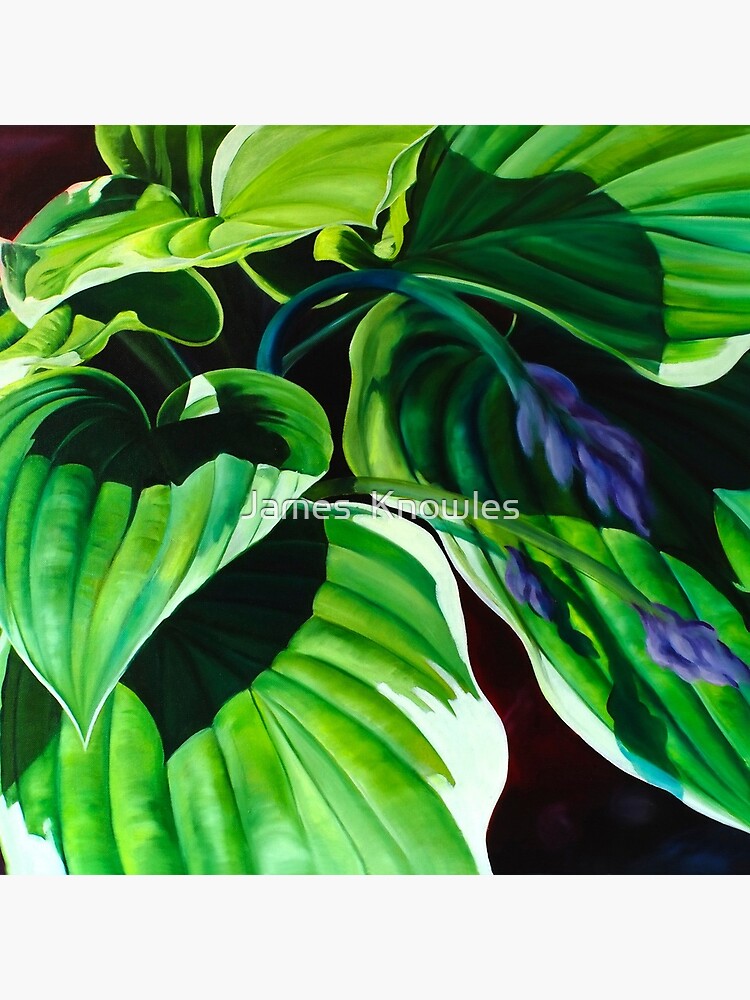 Thumbnail 5 of 5, Coasters (Set of 4), "Has Visto La Hosta" - green hosta leaves designed and sold by jknowles.
