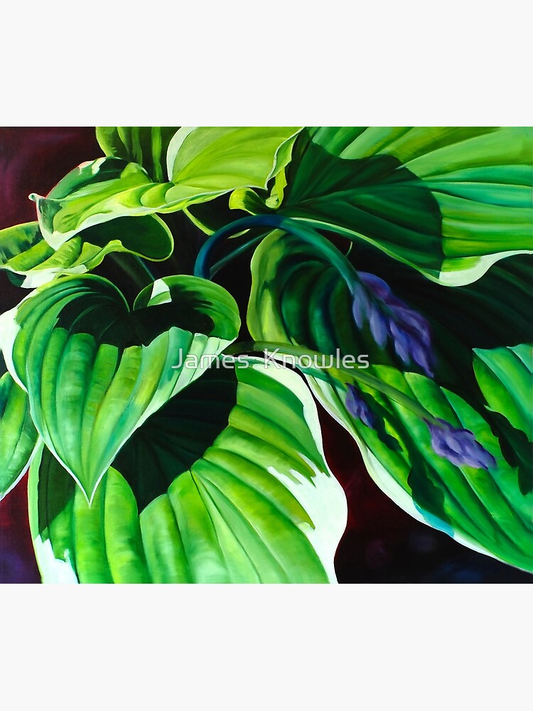 Thumbnail 3 of 3, Canvas Print, "Has Visto La Hosta" - green hosta leaves designed and sold by jknowles.