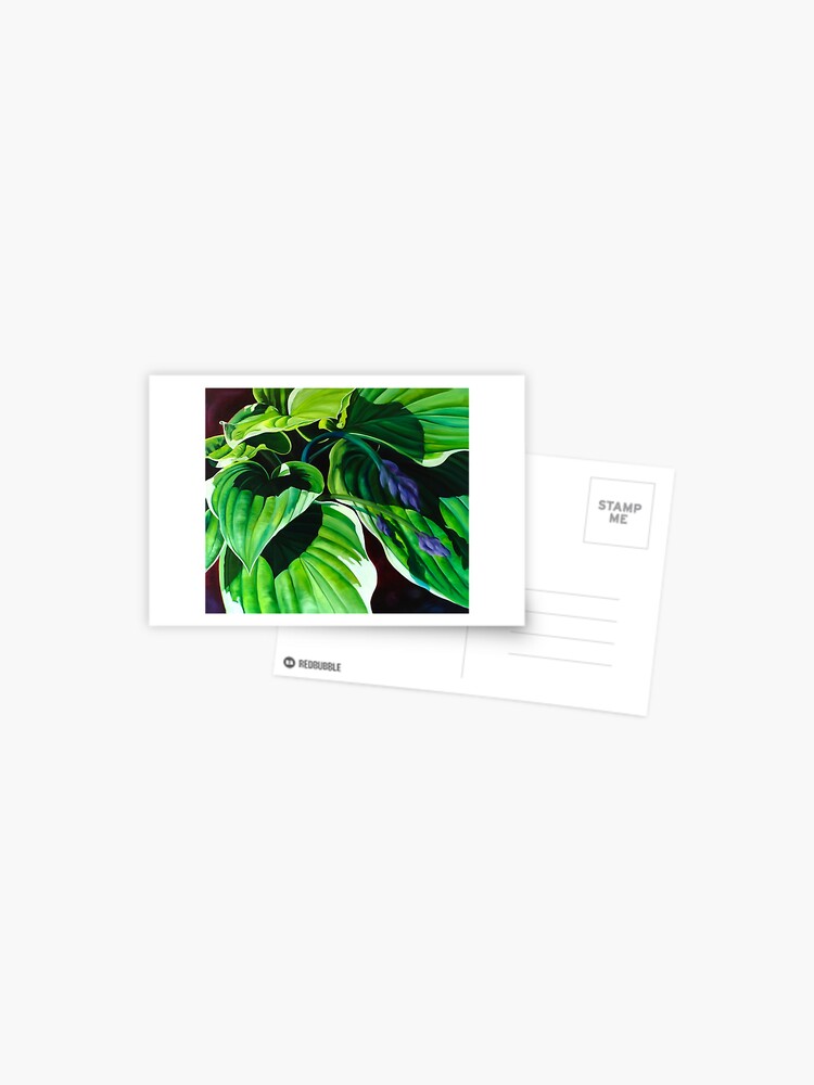 Thumbnail 1 of 2, Postcard, "Has Visto La Hosta" - green hosta leaves designed and sold by jknowles.
