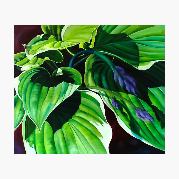 Photographic Print