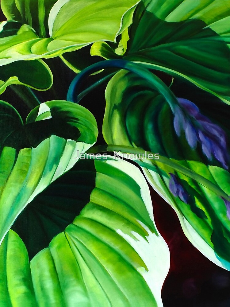 Thumbnail 3 of 3, Drawstring Bag, "Has Visto La Hosta" - green hosta leaves designed and sold by jknowles.