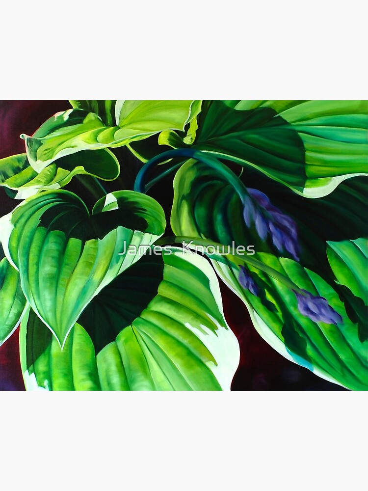 Thumbnail 2 of 2, Art Board Print, "Has Visto La Hosta" - green hosta leaves designed and sold by jknowles.