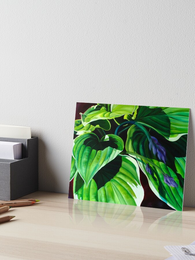 Thumbnail 1 of 2, Art Board Print, "Has Visto La Hosta" - green hosta leaves designed and sold by jknowles.