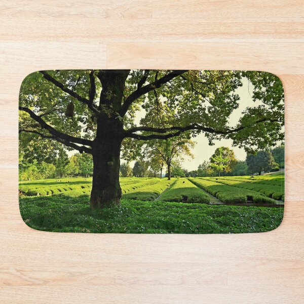 Item preview, The German military cemetery of Costermano designed and sold by annalisa56.