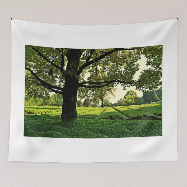 Item preview, The German military cemetery of Costermano designed and sold by annalisa56.