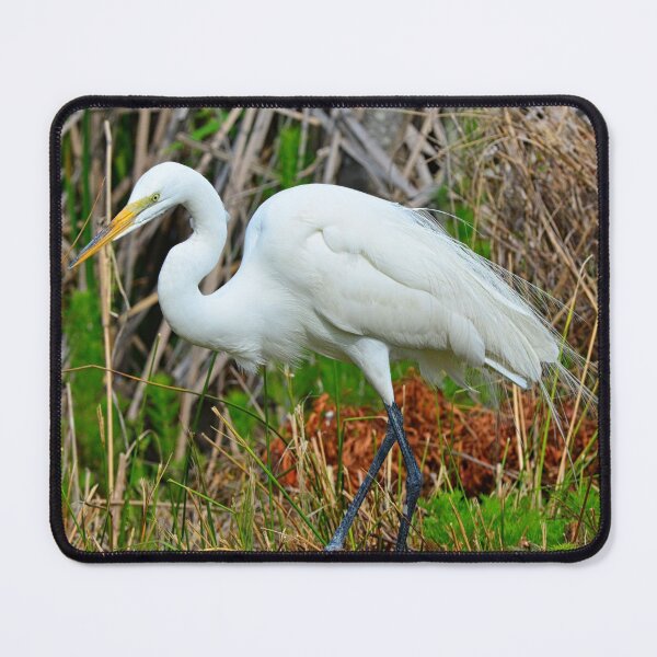 Item preview, Beautiful Great Egret designed and sold by LisaWootenPhoto.
