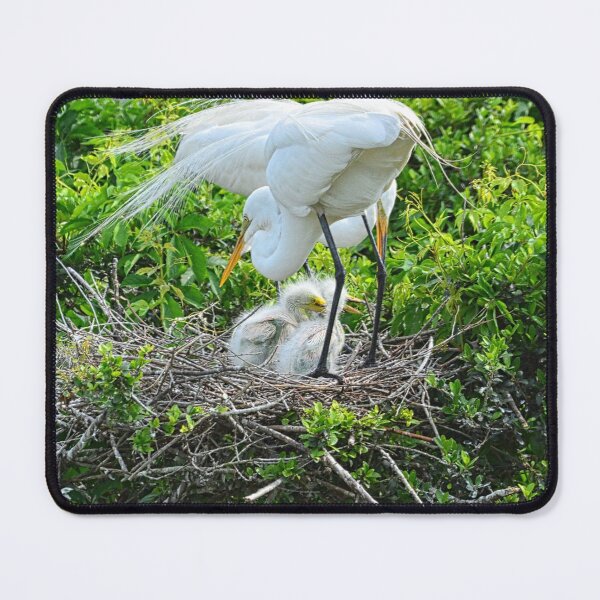 Item preview, Great Egret And Babies Vertical designed and sold by LisaWootenPhoto.