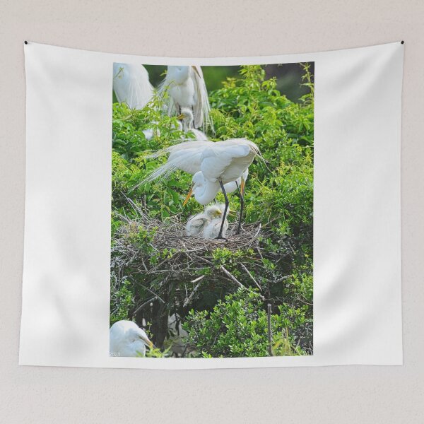 Item preview, Great Egret And Babies Vertical designed and sold by LisaWootenPhoto.