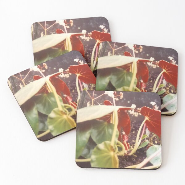 Item preview, Cottagecore undergrowth bugs eyeview designed and sold by glowvim.