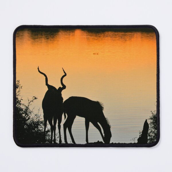 Item preview, Antelopes at Sunset in Africa. Silhouetted Antelope Horns along the Chobe River. designed and sold by KarenZuk.