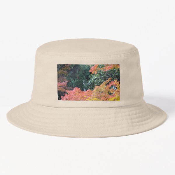 Item preview, Autumn Maples in a Japanese garden designed and sold by cuisinecat2.