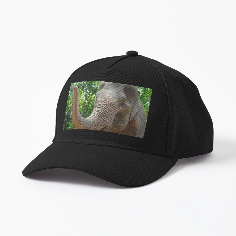 Item preview, Baseball Cap designed and sold by cuisinecat2.