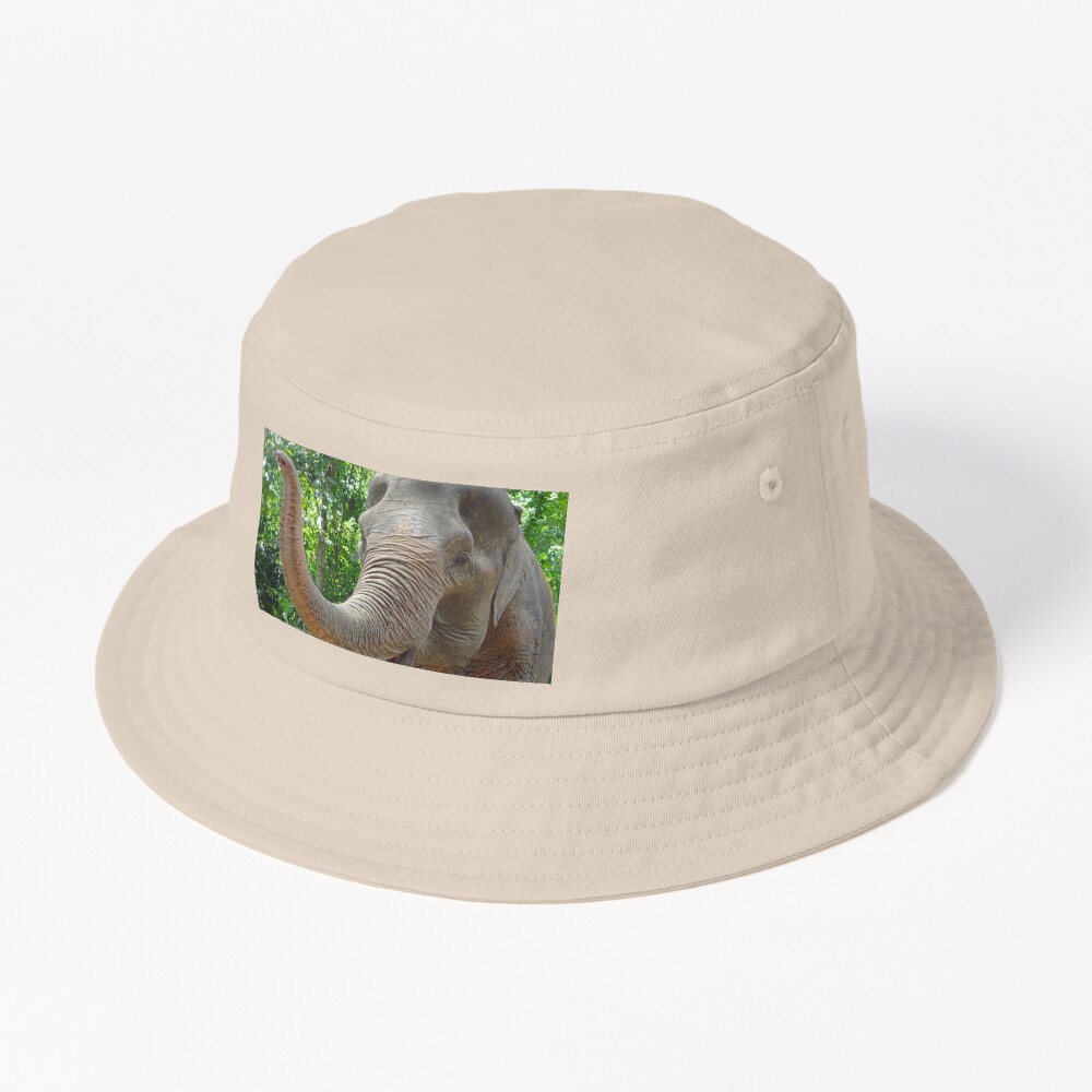 Item preview, Bucket Hat designed and sold by cuisinecat2.