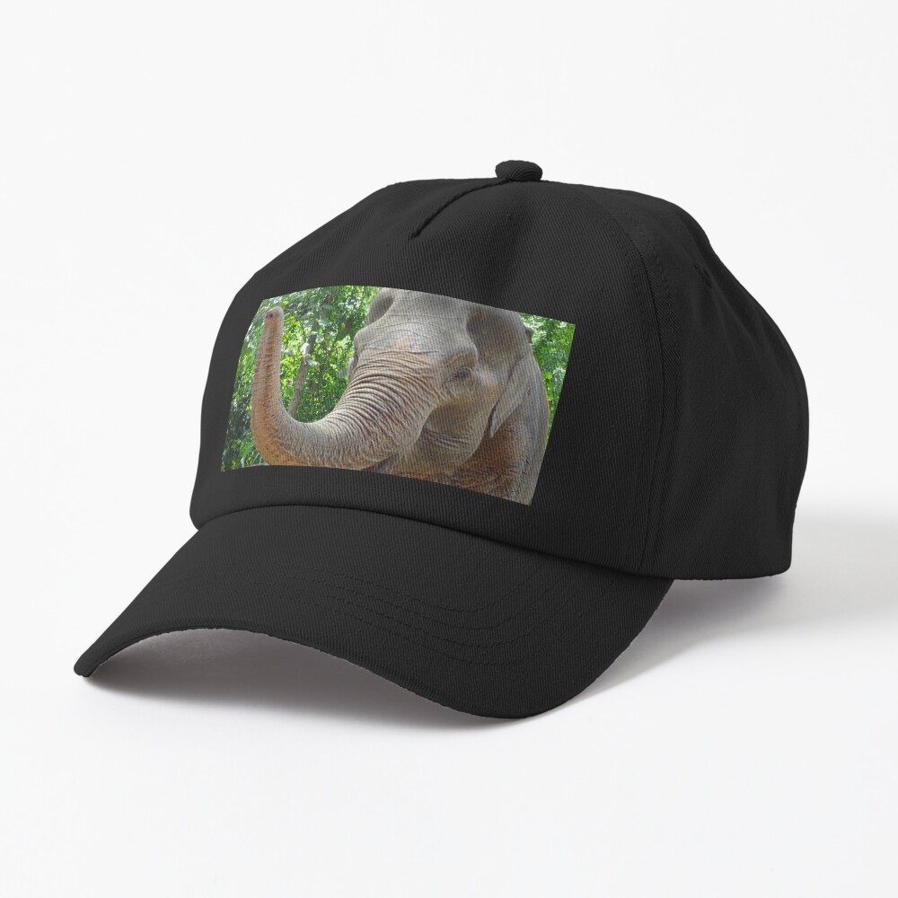 Item preview, Dad Hat designed and sold by cuisinecat2.